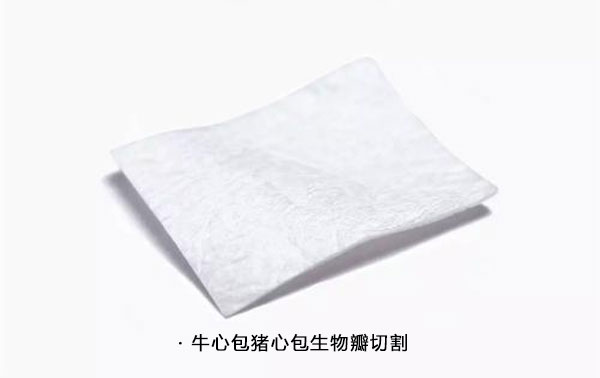 生物瓣膜（牛心包膜，豬心包膜）激光切割機(jī)