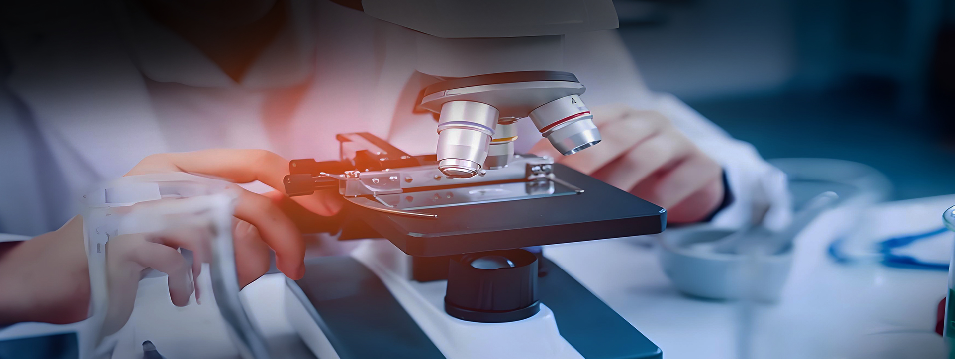 脆性材料領(lǐng)域